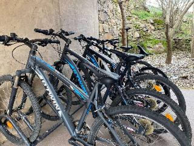 Desportos y Entretenimento