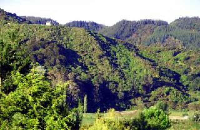 Vista General