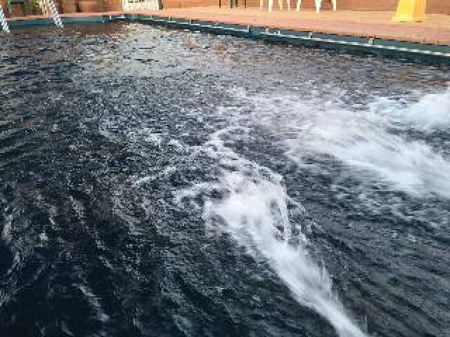 Desportos y Entretenimento