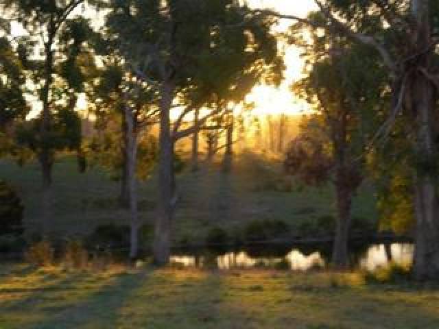 Vista General