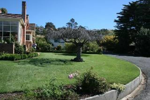 Vista General