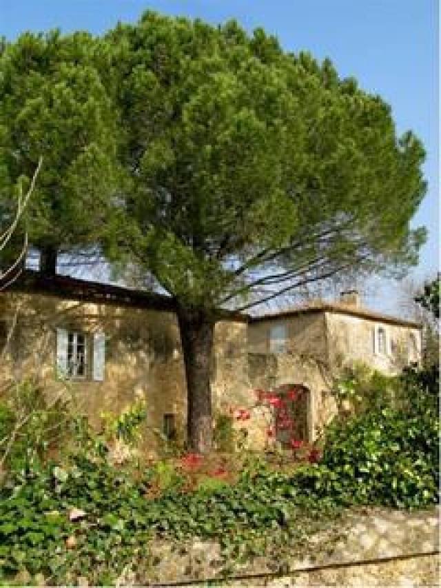 Vista General