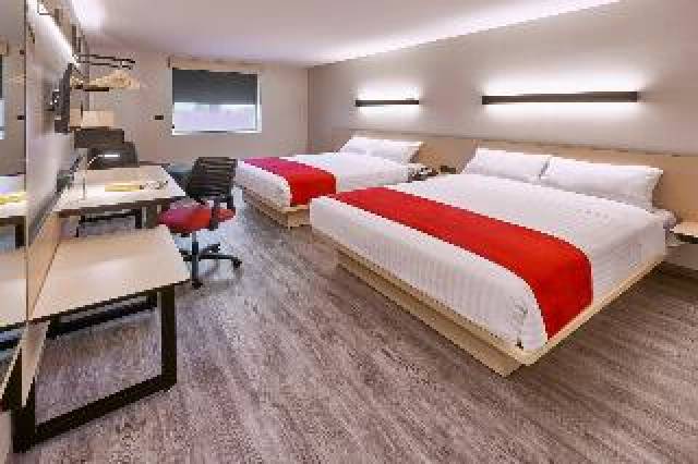 Quarto