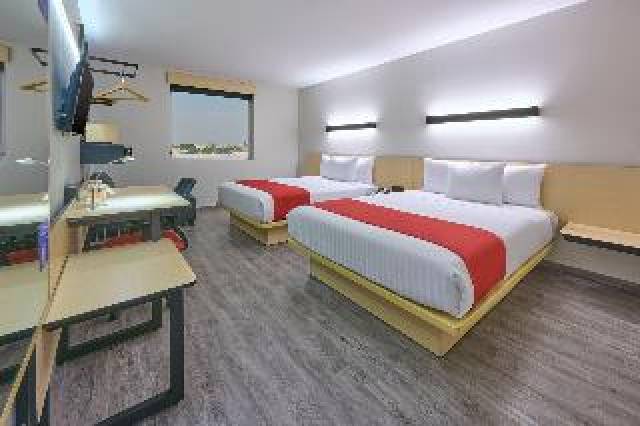 Quarto