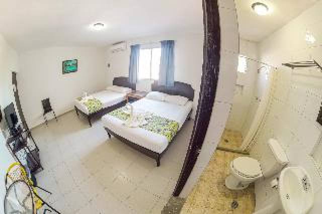 Quarto
