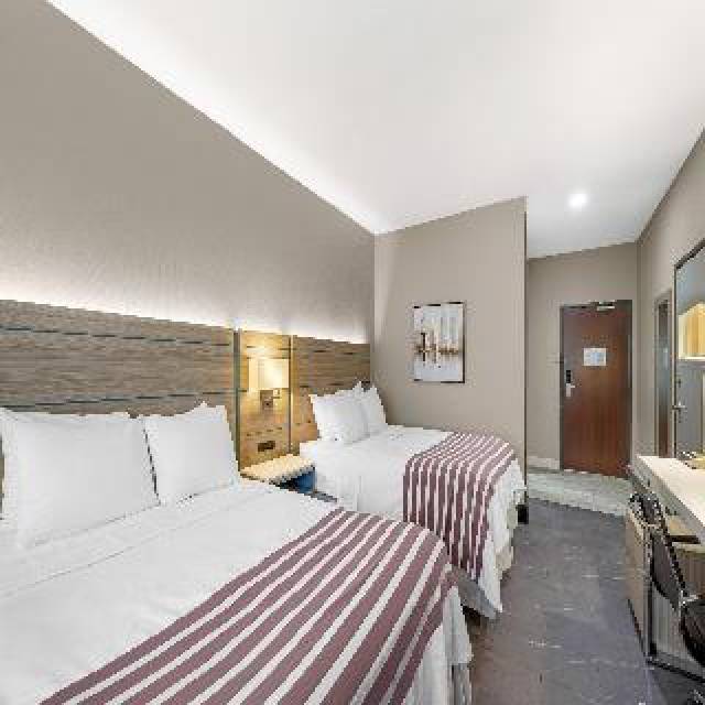 Quarto