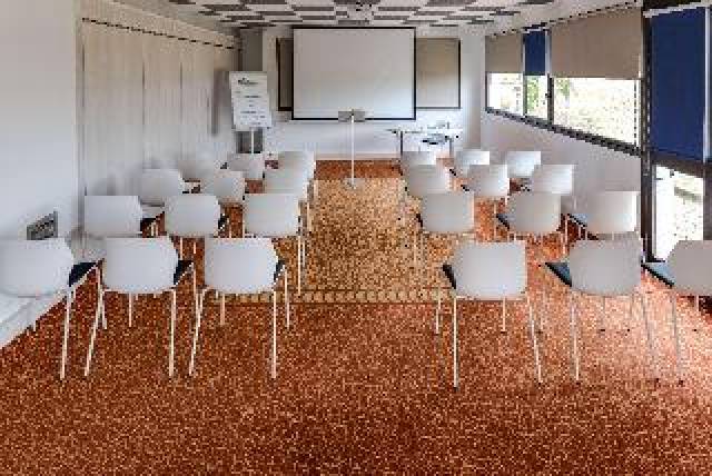 Conferencias