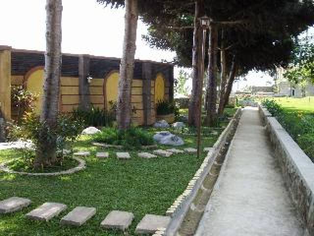 Terraço