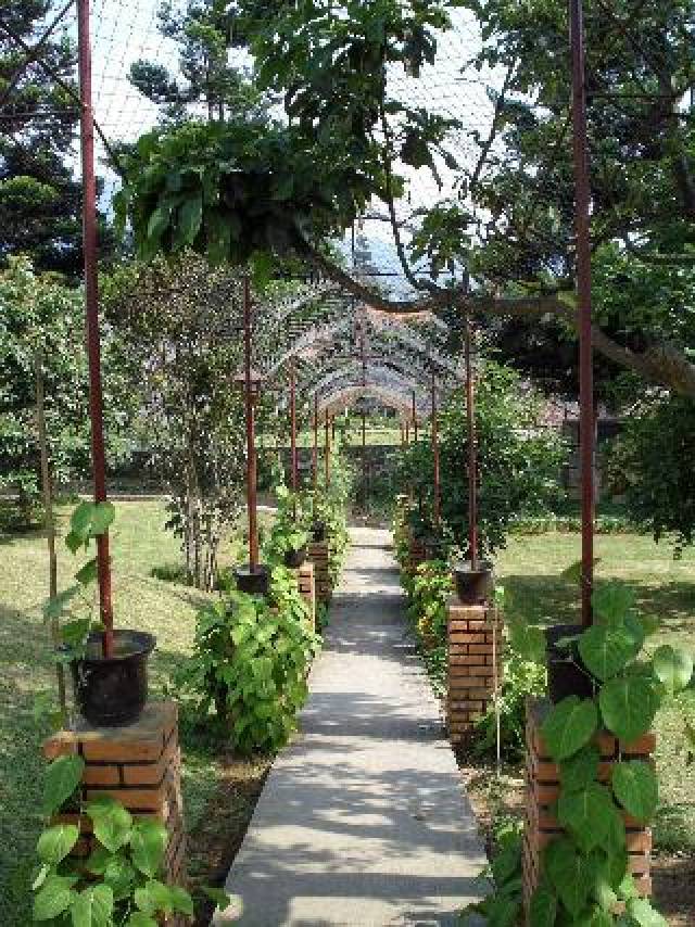 Terraço