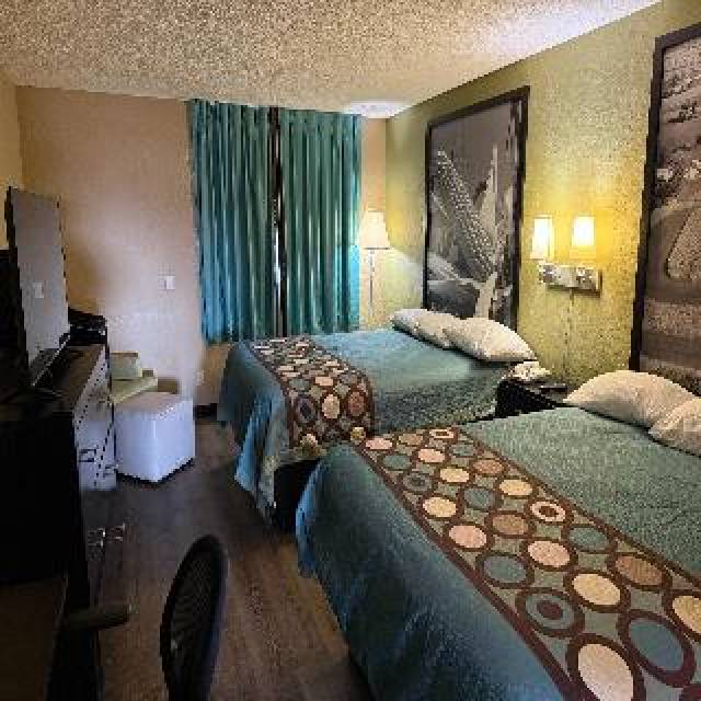 Quarto
