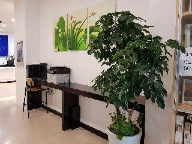Vista General