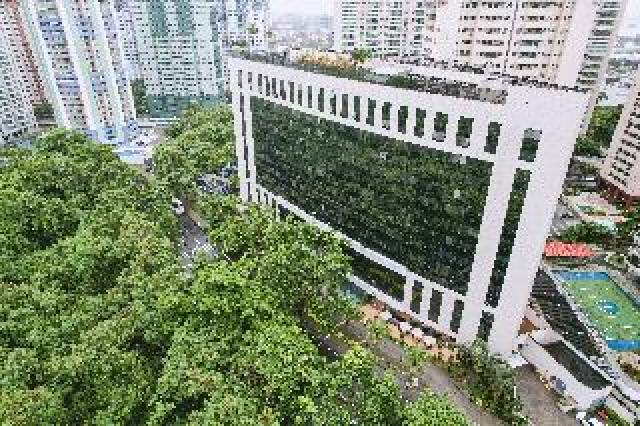 Vista General