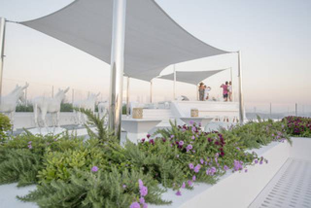 Terraço