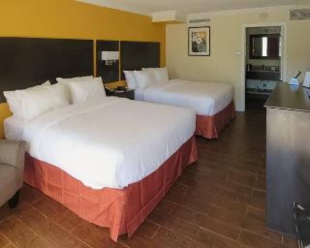 Quarto