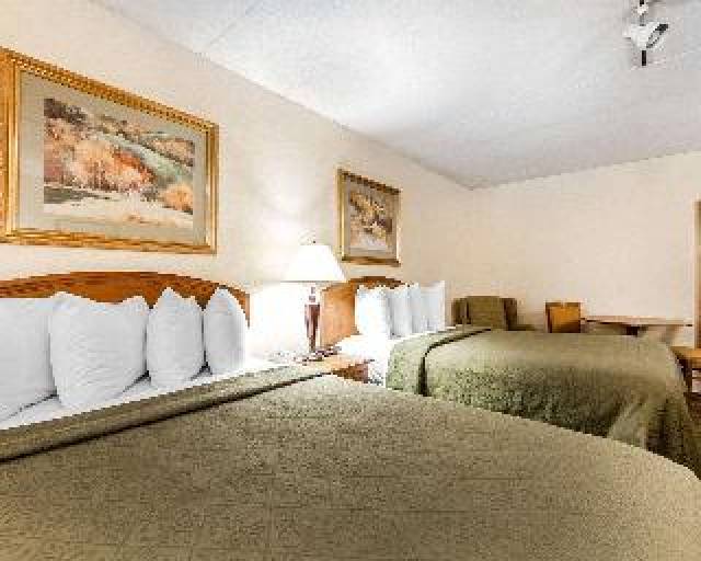 Quarto