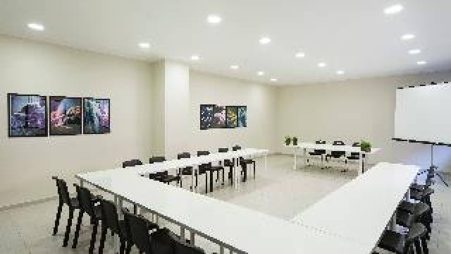 Conferencias