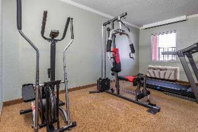 Desportos y Entretenimento