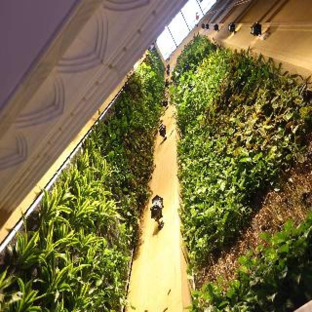 Vista General