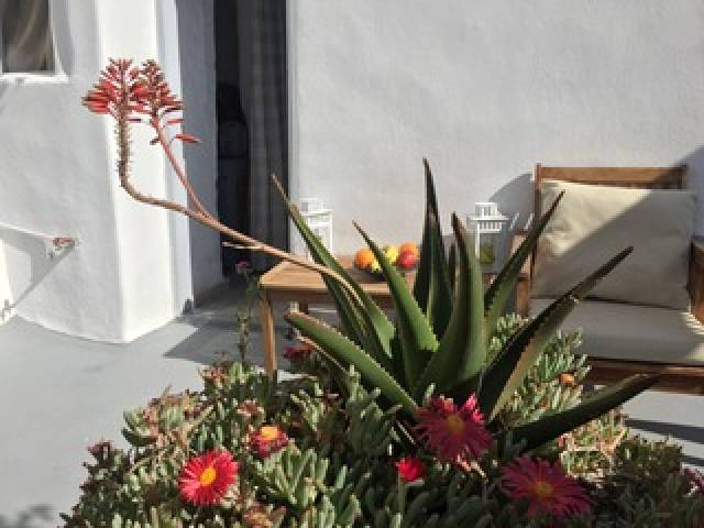 Terraço