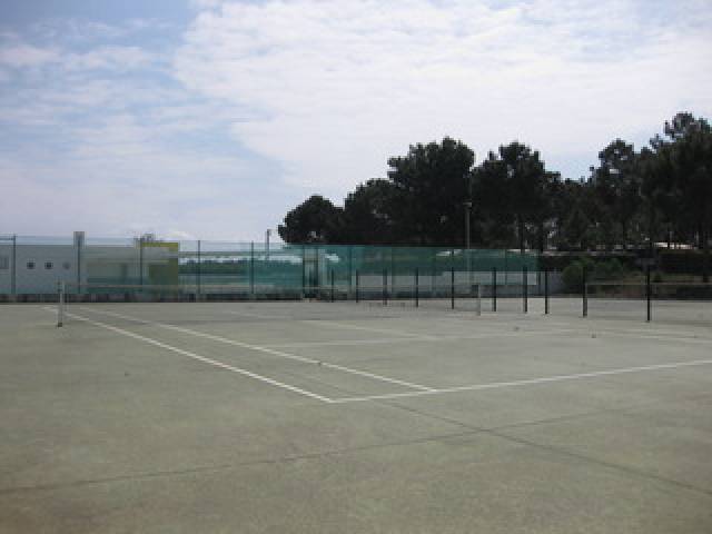 Desportos y Entretenimento