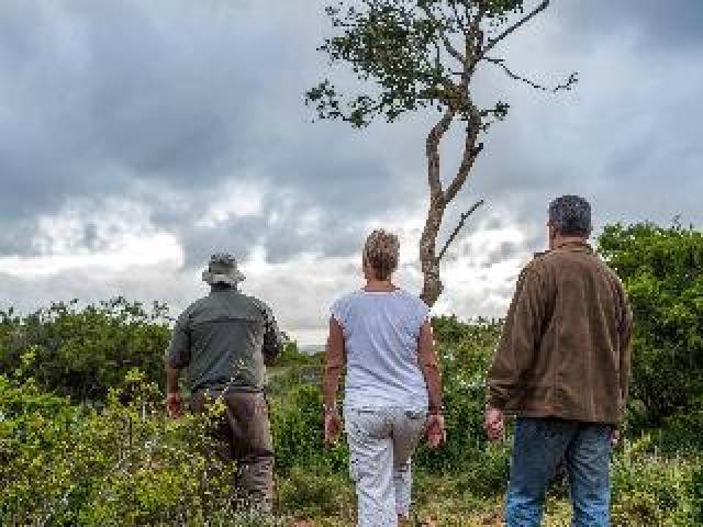 Desportos y Entretenimento