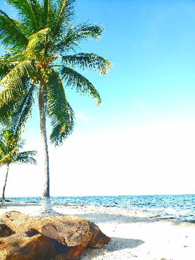 Praia