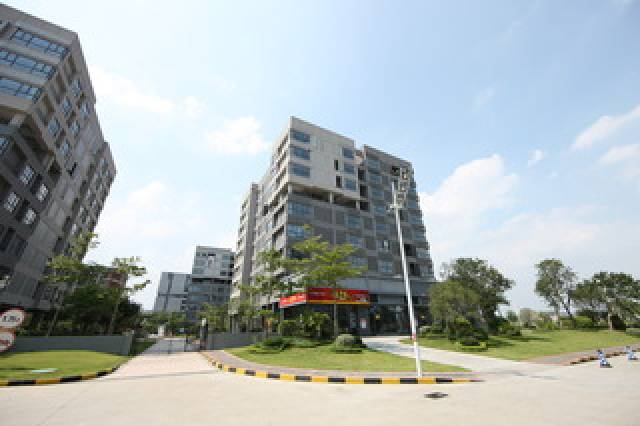 Vista General