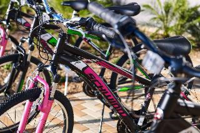 Desportos y Entretenimento
