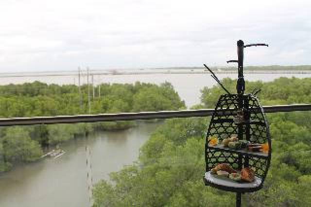 Terraço