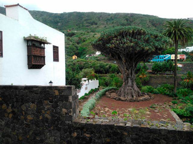 Vista General