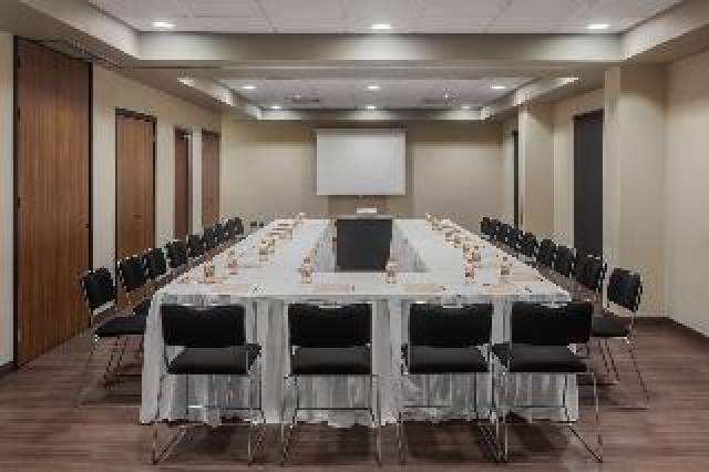 Conferencias