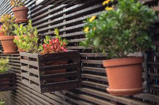 Terraço