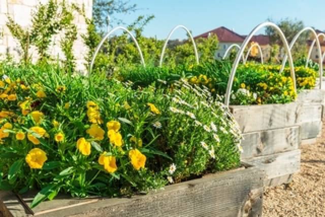 Terraço