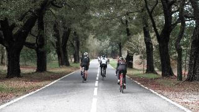 Desportos y Entretenimento
