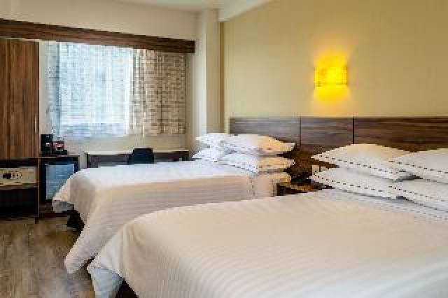 Quarto