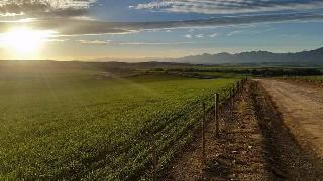 Vista General