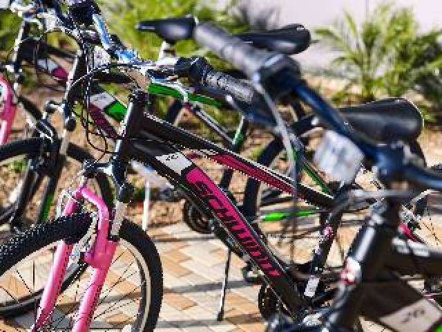 Desportos y Entretenimento