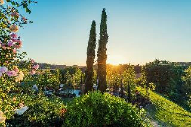 Vista General
