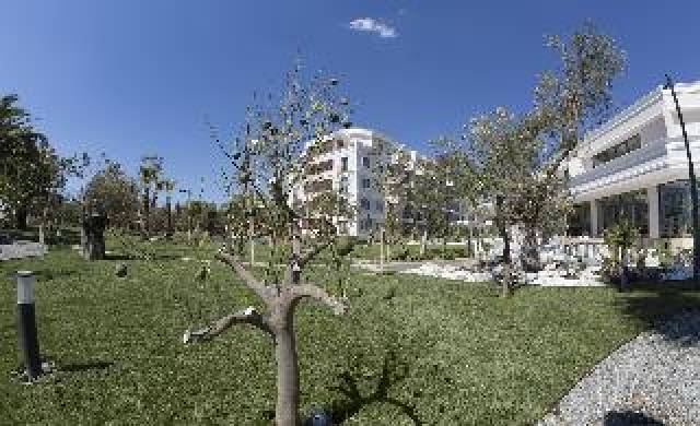 Vista General