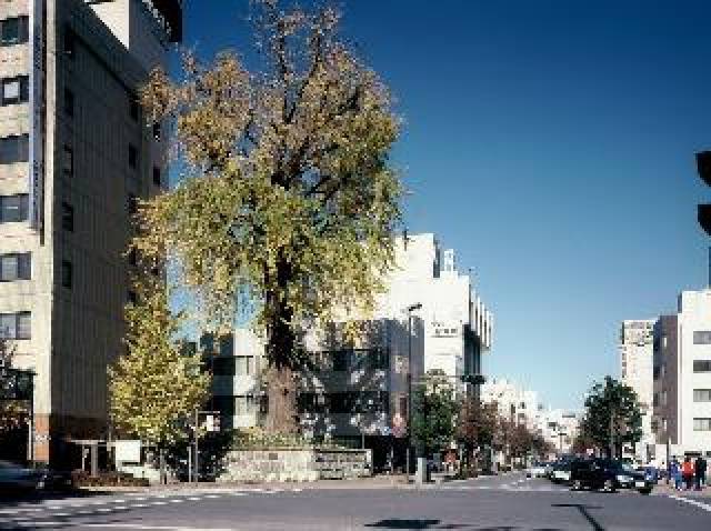 Vista General