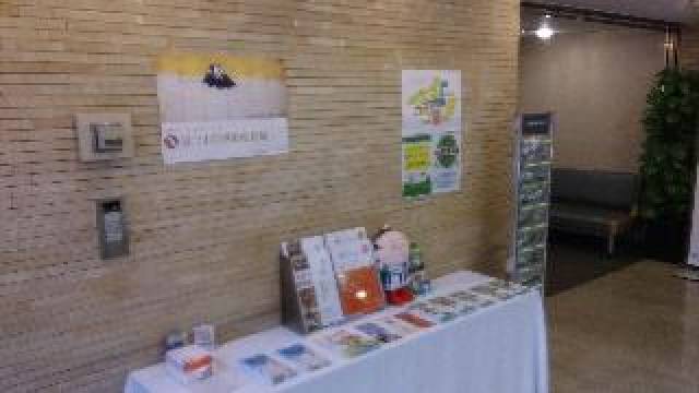 Desportos y Entretenimento