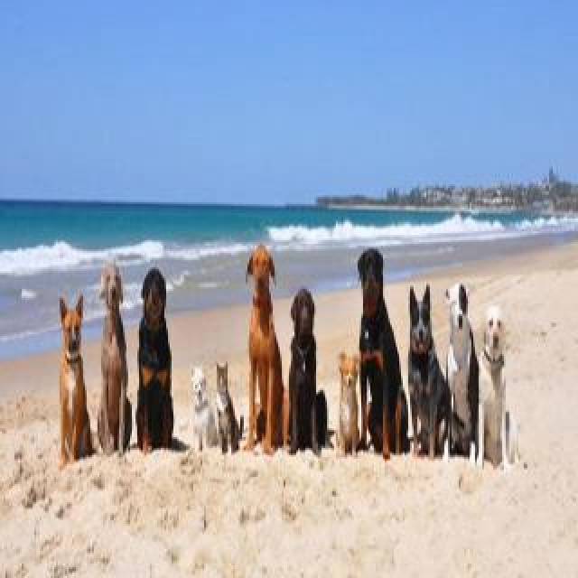 Praia