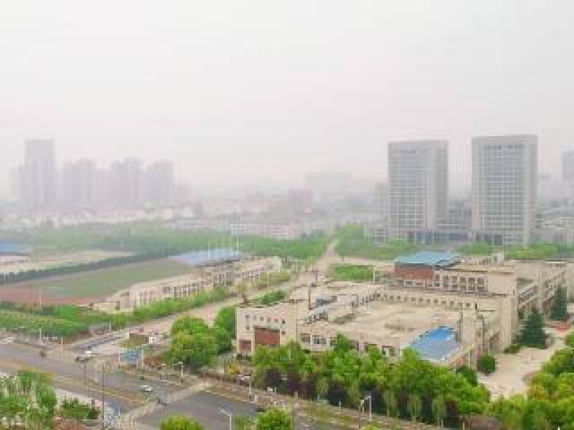 Vista General