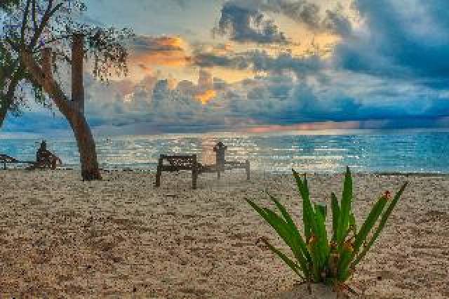 Praia