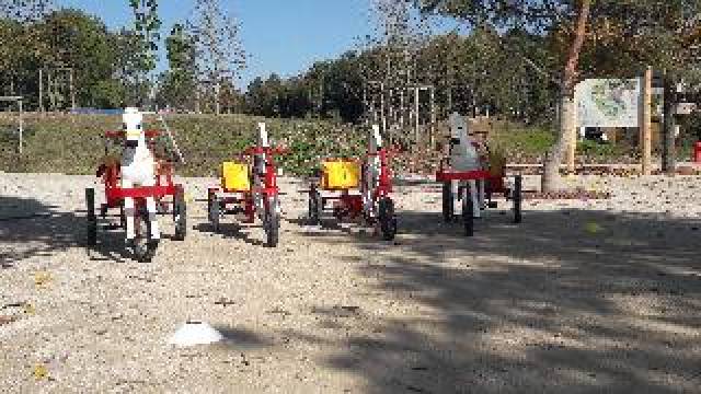 Desportos y Entretenimento