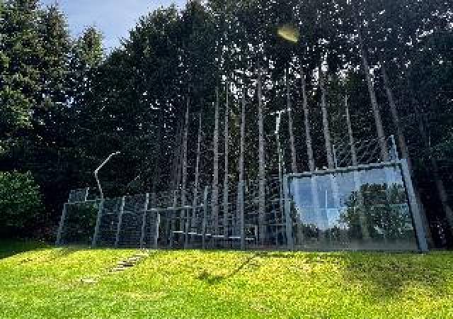 Desportos y Entretenimento