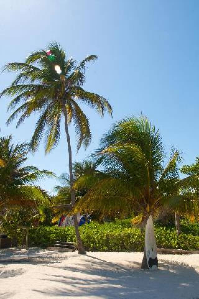 Praia