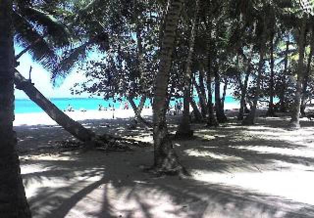 Praia