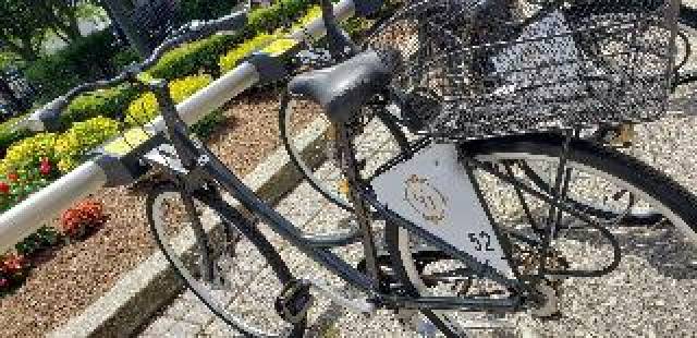Desportos y Entretenimento
