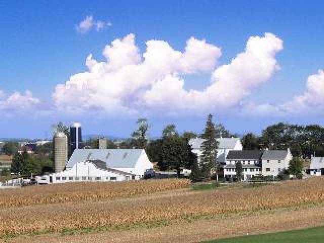 Vista General